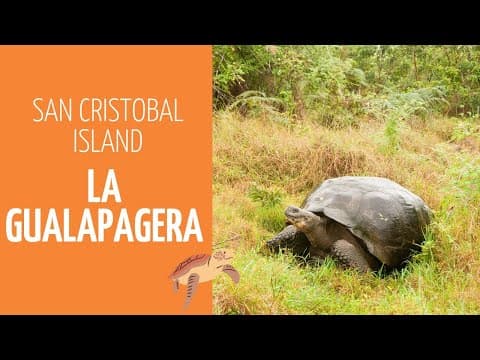 Galapatours