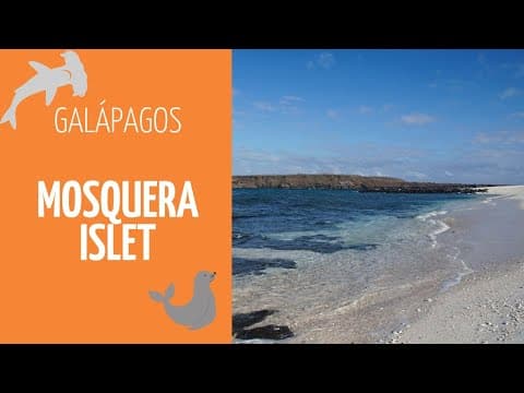 Galapatours