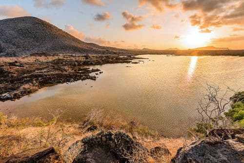 Cormorant Point