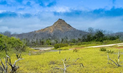 Dragon Hill
