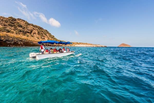 Champion Islet