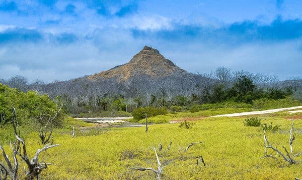 Dragon Hill