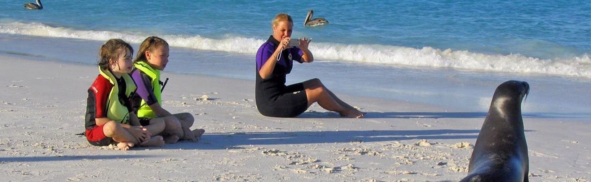 Filter media for: View all ships with interconnecting cabins and/or child discounts of 25%+ page