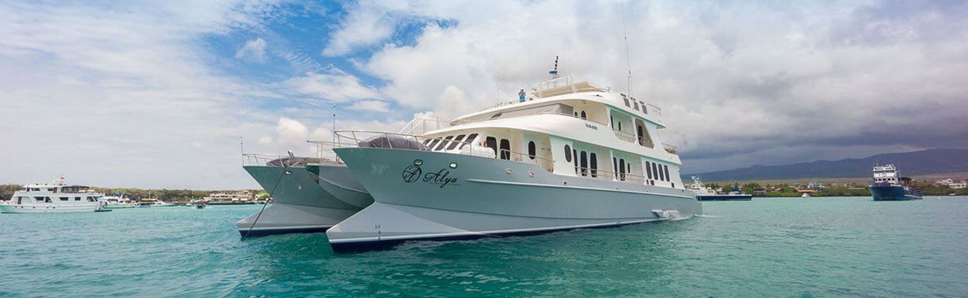 Filter media for: Updated daily. These offers sell out quickly - call now for latest availabilty page