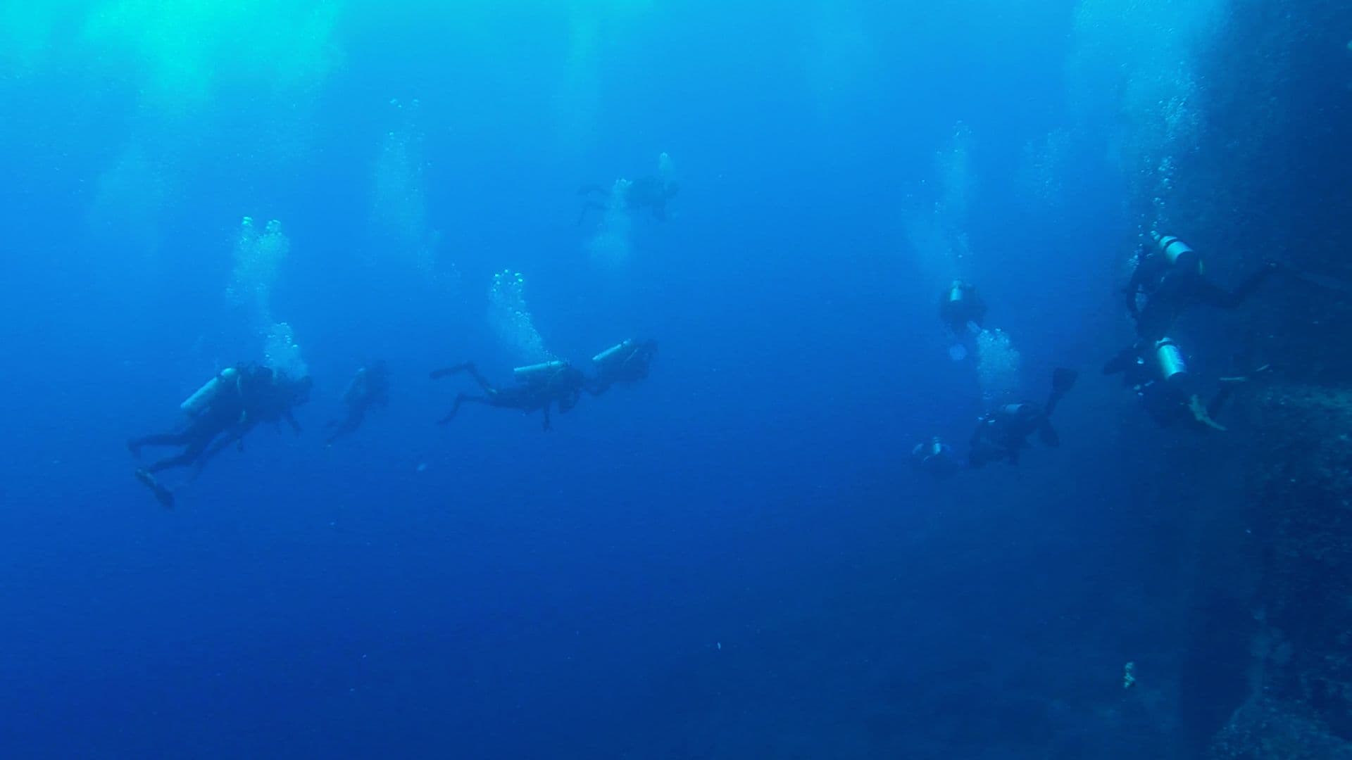 Darwin's Arch / Towers Diving