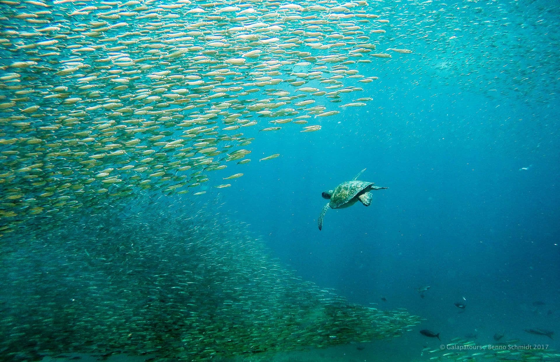 Isabela Urbina bay - samba galapagos cruise - gal0052