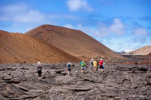 Sullivan Bay - seaman journey - gal0176