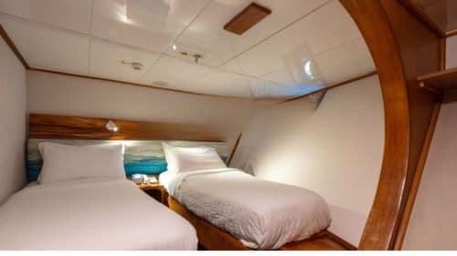 Coral I & II - Coral I Standard Cabin Twin Beds