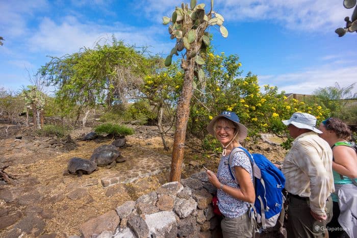 Puerto Ayora - Magic Swing in the Highlands - seaman journey - gal0176