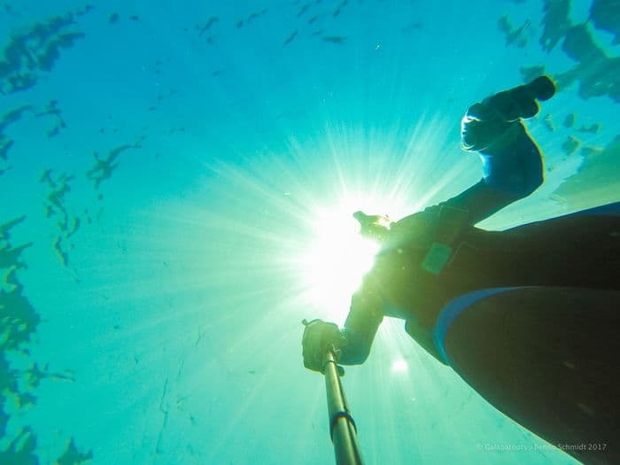 Devil's crown - samba galapagos cruise - gal0052