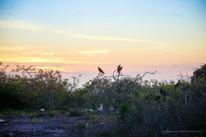 Prince philipps steps- samba galapagos cruise - gal0052