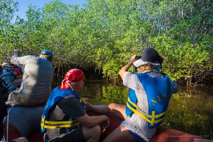 Isabela - Elisabeth Bay - Punta Moreno -  samba galapagos cruise - gal0052