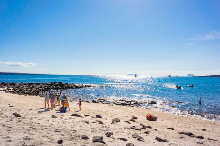 Santa Cruz - Bachas Beach - samba galapagos cruise - gal0052