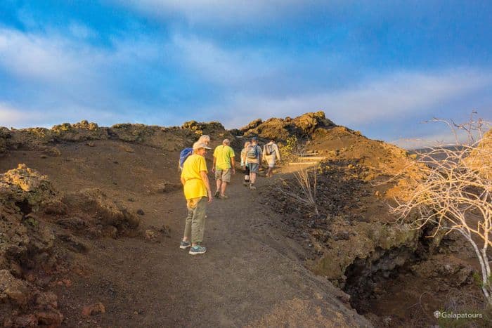 Tagus Cove - Seaman Journey Fernandina - gal0176