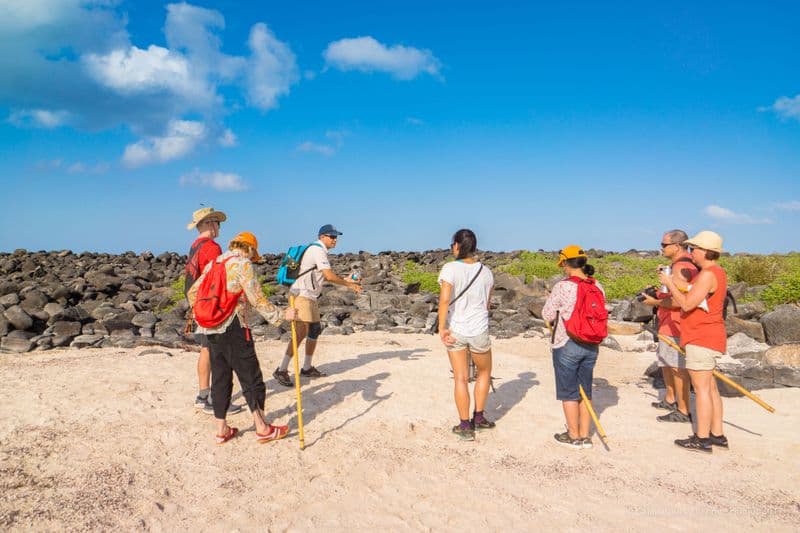 espanola - la pinta yacht galapagos cruise - gal0104